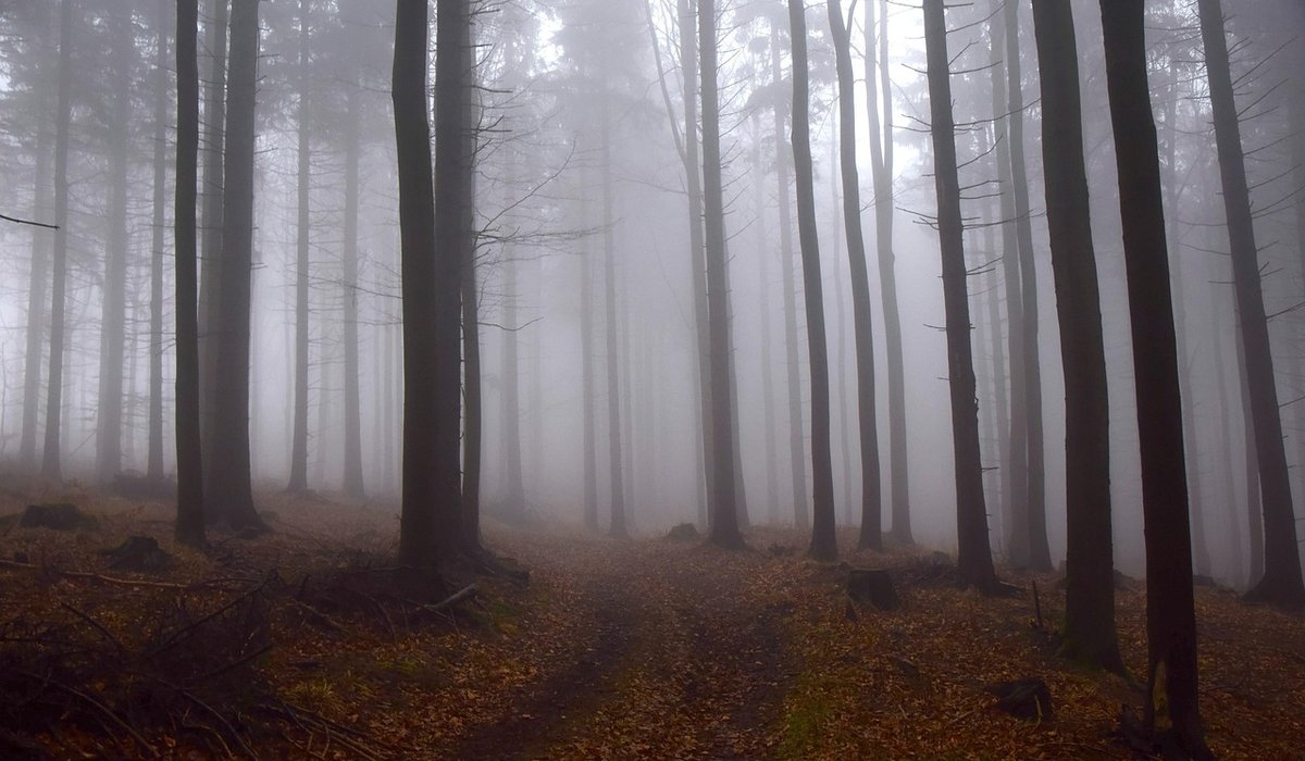 Choosing Safe Footwear for Wet Autumn Trails